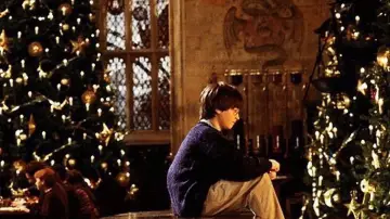 Zasłona do filmu "Harry Potter i Kamień Filozoficzny" #528237