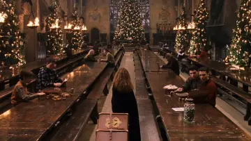 Zasłona do filmu "Harry Potter i Kamień Filozoficzny" #528320