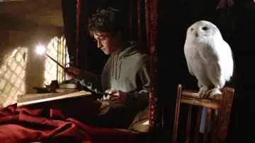 Zasłona do filmu "Harry Potter i więzień Azkabanu" #165496