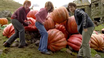 Zasłona do filmu "Harry Potter i więzień Azkabanu" #487056