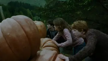 Zasłona do filmu "Harry Potter i więzień Azkabanu" #546442