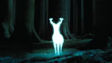 Zasłona do filmu "Harry Potter i więzień Azkabanu" #546466
