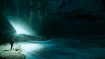 Zasłona do filmu "Harry Potter i więzień Azkabanu" #546482
