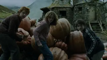 Zasłona do filmu "Harry Potter i więzień Azkabanu" #747777