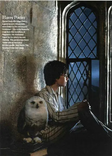 Plakat do filmu "Harry Potter i więzień Azkabanu" #959462