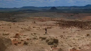 Zasłona do filmu "Paryż, Teksas" #178049