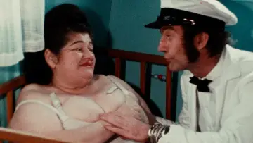 Zasłona do filmu "Różowe Flamingi" #296569