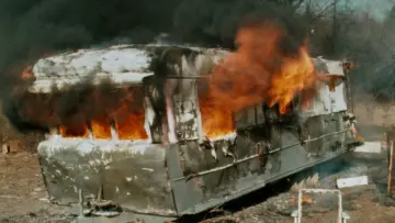 Zasłona do filmu "Różowe Flamingi" #296572