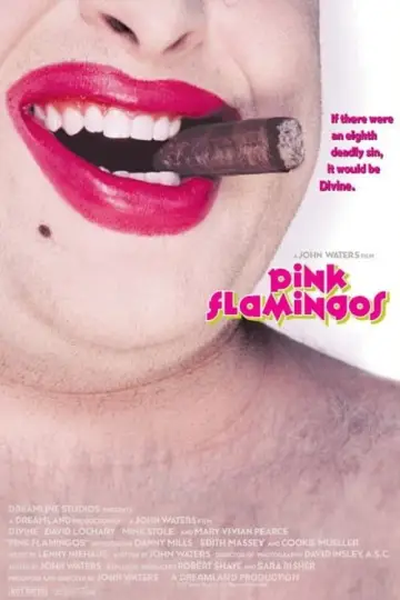 Plakat do filmu "Różowe Flamingi" #296582