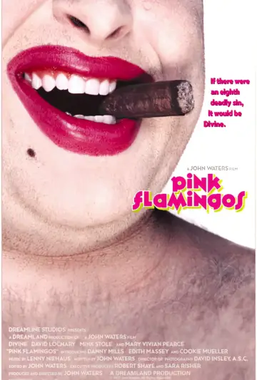 Plakat do filmu "Różowe Flamingi" #296591