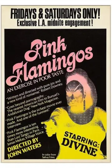 Plakat do filmu "Różowe Flamingi" #296595