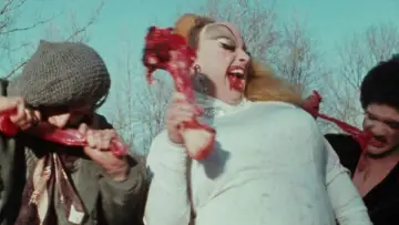 Zasłona do filmu "Różowe Flamingi" #612033
