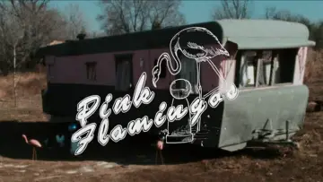 Zasłona do filmu "Różowe Flamingi" #612040