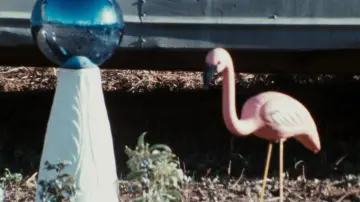 Zasłona do filmu "Różowe Flamingi" #612049