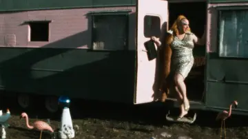 Zasłona do filmu "Różowe Flamingi" #612055