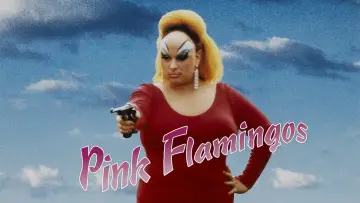 Zasłona do filmu "Różowe Flamingi" #612065
