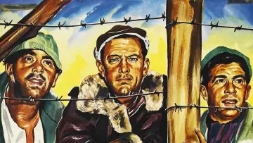 Zasłona do filmu "Stalag 17" #201640