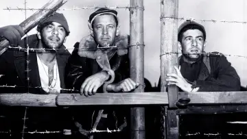 Zasłona do filmu "Stalag 17" #201643