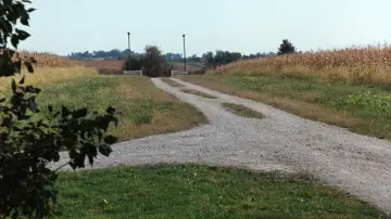 Zasłona do filmu "Co się wydarzyło w Madison County" #710408