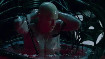 Zasłona do filmu "Matrix" #1205983