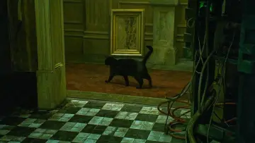 Zasłona do filmu "Matrix" #171617