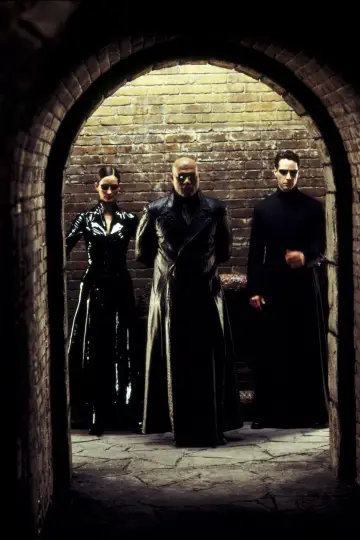 Plakat do filmu "Matrix Reaktywacja" #503743