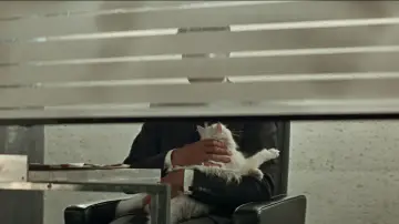 Zasłona do filmu "Operacja Piorun" #1730839