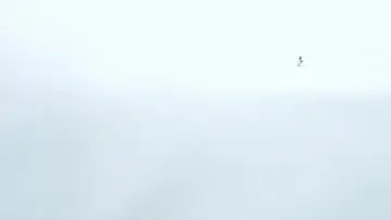 Zasłona do filmu "THX 1138" #900450