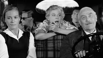Zasłona do filmu "Tam, gdzie rosną poziomki" #177591