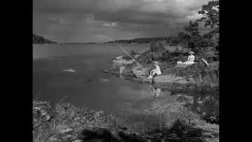 Zasłona do filmu "Tam, gdzie rosną poziomki" #693406