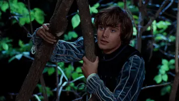 Zasłona do filmu "Romeo i Julia" #862984
