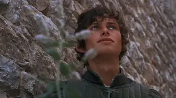 Zasłona do filmu "Romeo i Julia" #862991