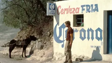 Zasłona do filmu "Mexican" #352304