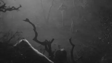 Zasłona do filmu "Drakula" #1179041