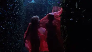 Zasłona do filmu "Drakula" #1824960
