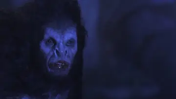 Zasłona do filmu "Drakula" #214400