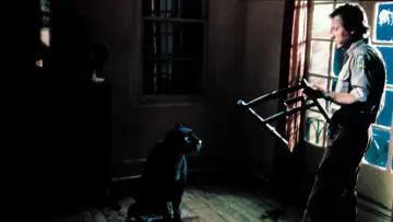 Zasłona do filmu "Ludzie-koty" #305579