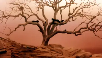 Zasłona do filmu "Ludzie-koty" #305583