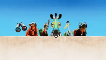 Zasłona do filmu "Zebra z klasą" #1200135