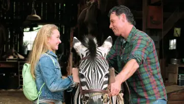 Zasłona do filmu "Zebra z klasą" #385239