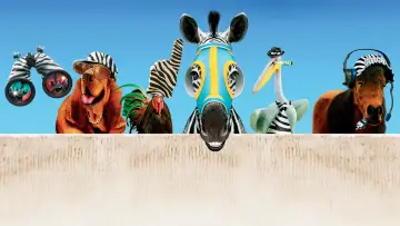 Zasłona do filmu "Zebra z klasą" #500772