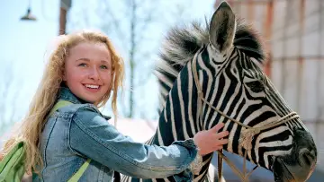Zasłona do filmu "Zebra z klasą" #500774