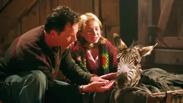 Zasłona do filmu "Zebra z klasą" #500777