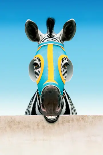 Plakat do filmu "Zebra z klasą" #500778
