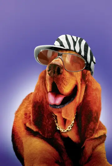Plakat do filmu "Zebra z klasą" #868475