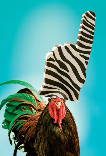 Plakat do filmu "Zebra z klasą" #868477