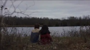 Zasłona do filmu "Miłość Larsa" #921503