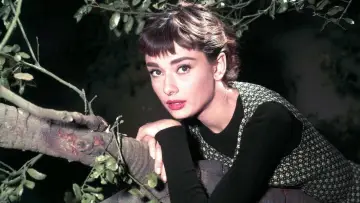 Zasłona do filmu "Sabrina" #210643