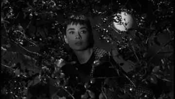 Zasłona do filmu "Sabrina" #868794