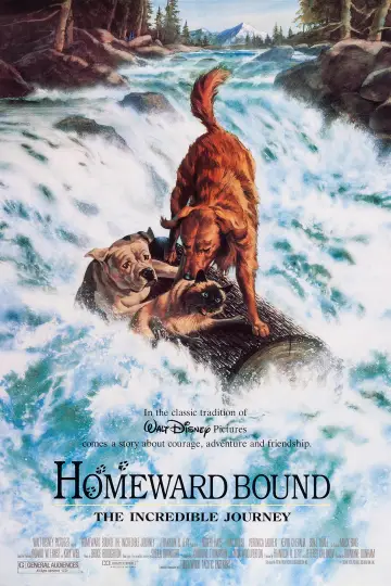 Plakat do filmu "Niezwykła podróż" #251063